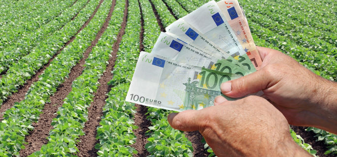 Producţia agricolă, în scădere din cauza vremii din această primăvară. Foto simbol: evz.ro