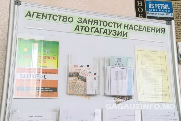 Стало известно какие специальности в Гагаузии сегодня самые востребованные.