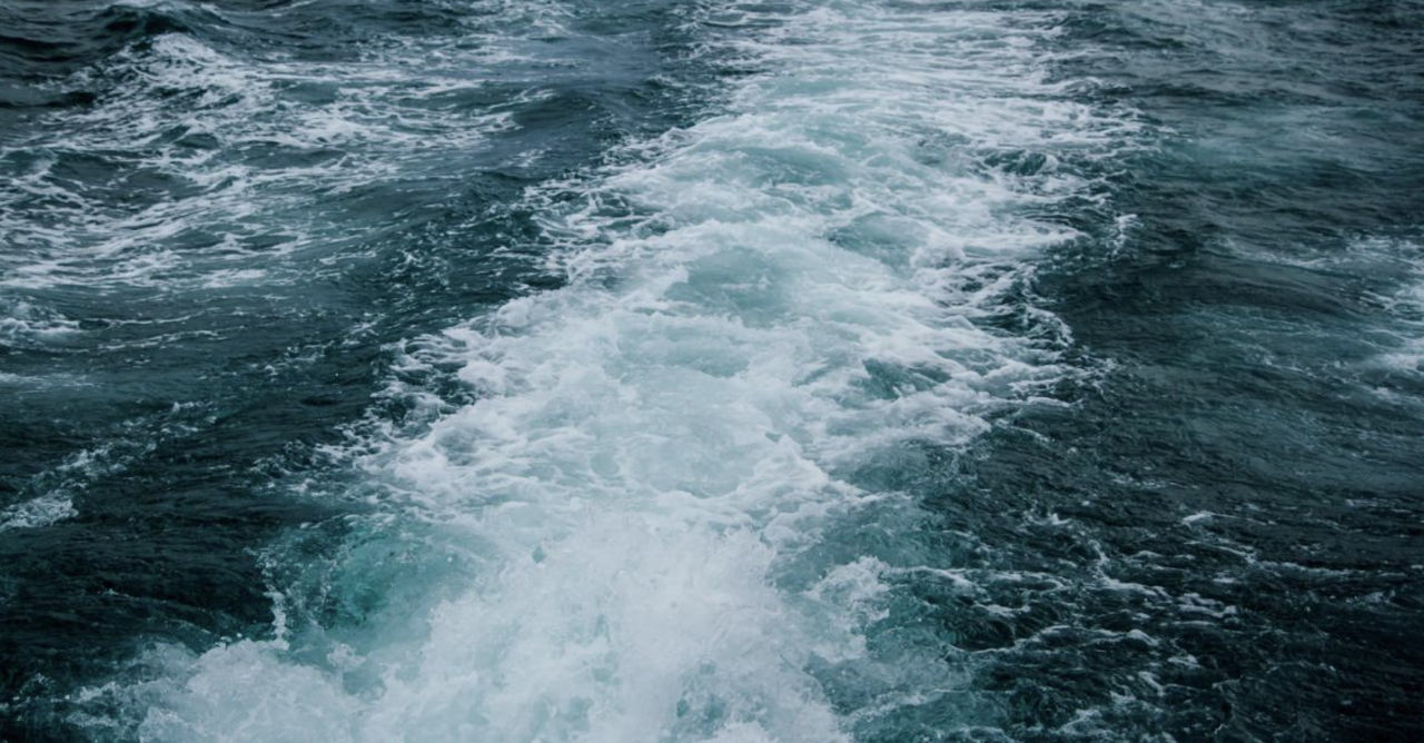 Cod Roșu: În Oceanul Pacific se întâmplă pentru prima dată în 150 de ani ceva neobișnuit.