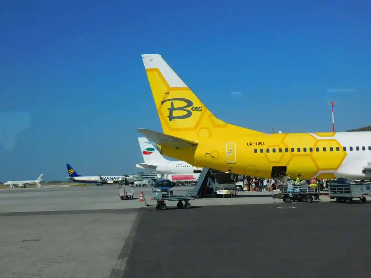Scenariul de coșmar pentru Bees Airlines: Compania low-cost a falimentat.