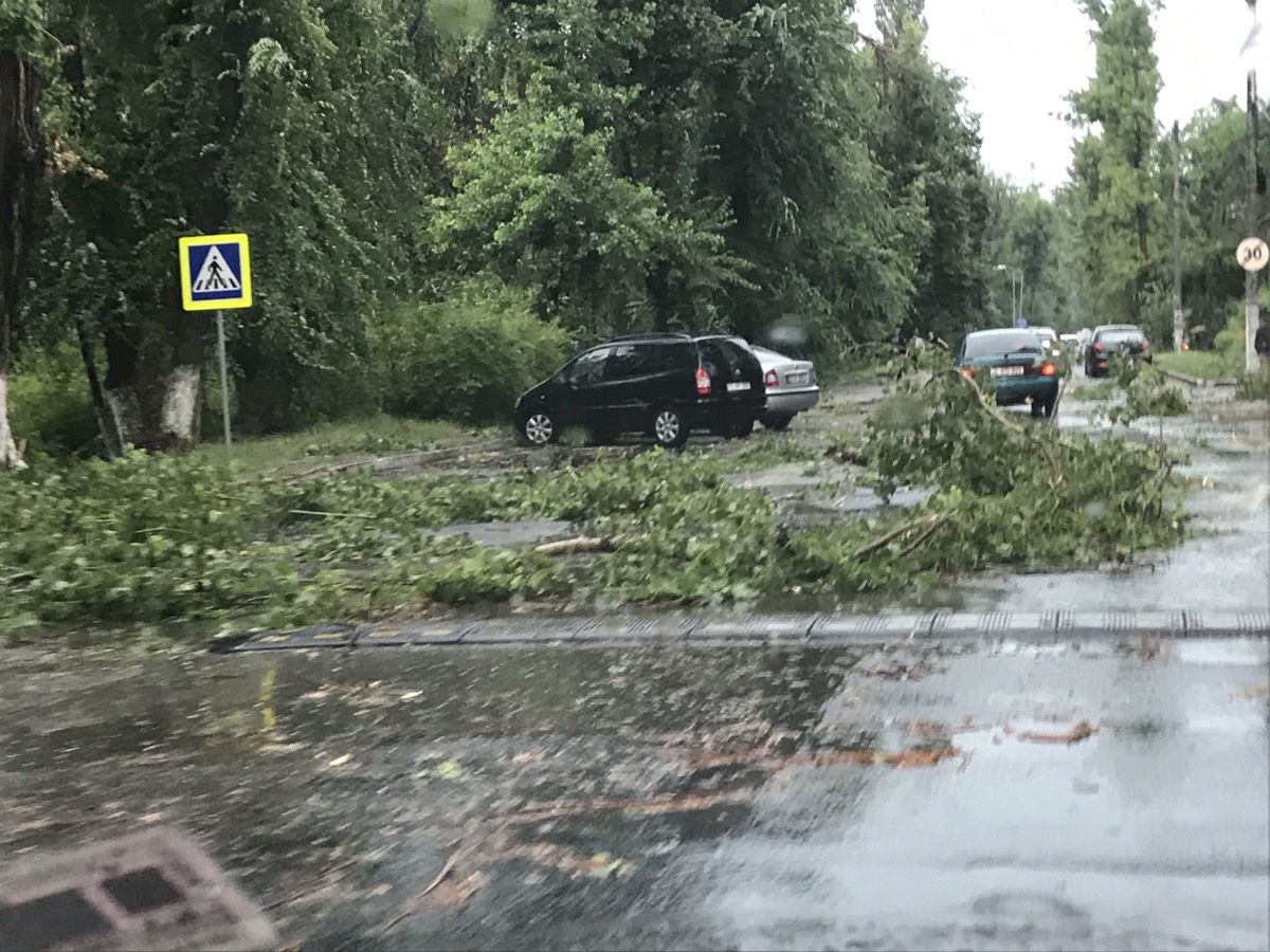 На многих улицах Кишинева образовались пробки из-за упавших деревьев.