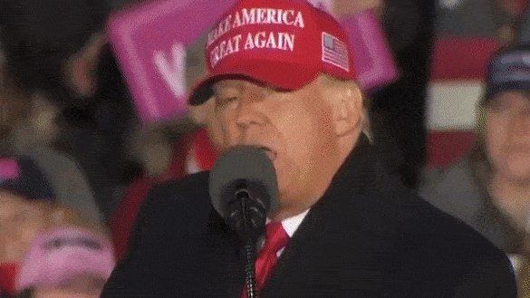 Трамп пообещал больше никогда не разговаривать со своими детьми, если проиграет выборы.