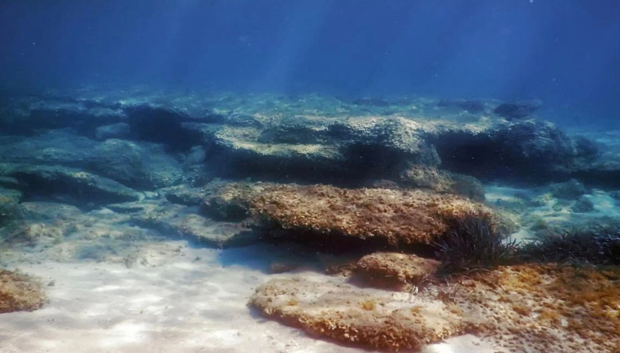 Cercetătorii au găsit un semnal ciudat, vechi de 10 milioane de ani, pe fundul Oceanului Pacific.