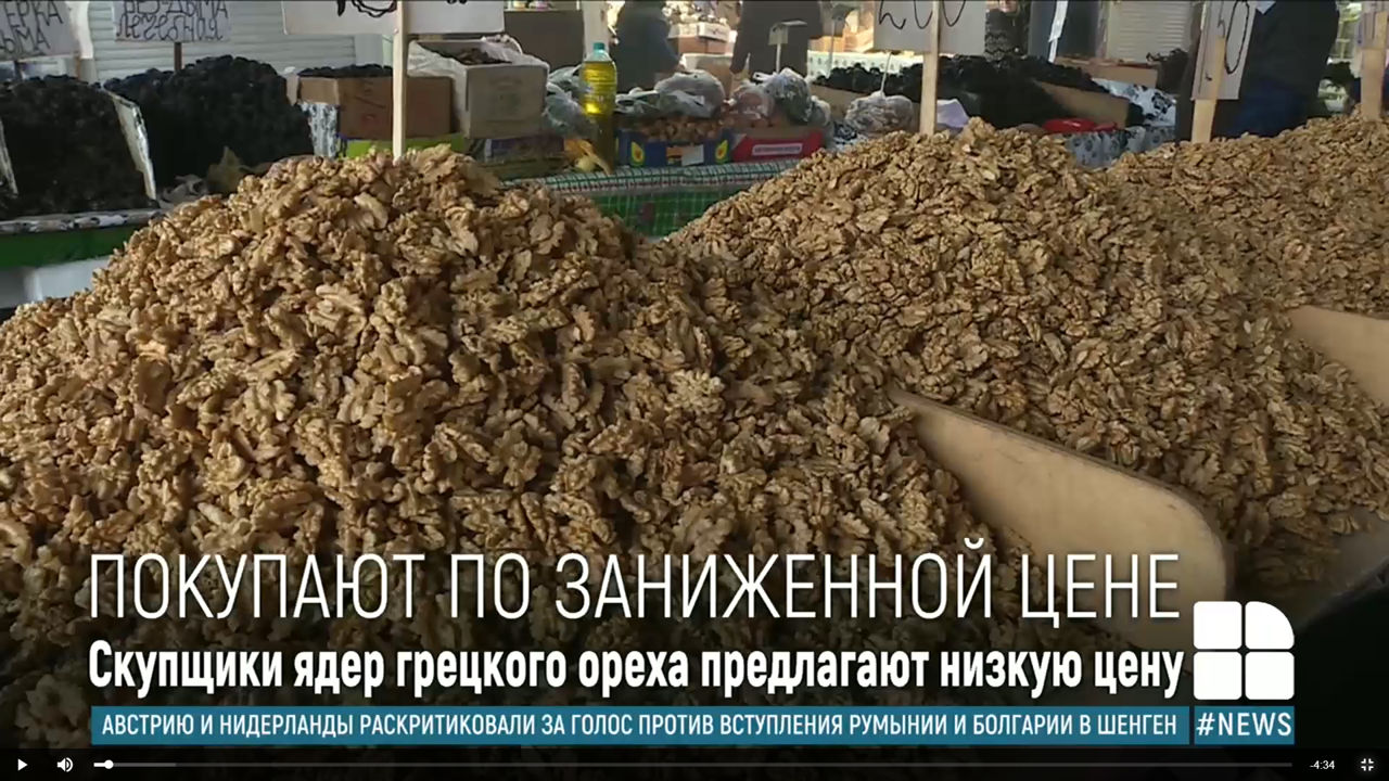 В селах Молдовы жалуются на скупку грецкого ореха по сниженным ценам.