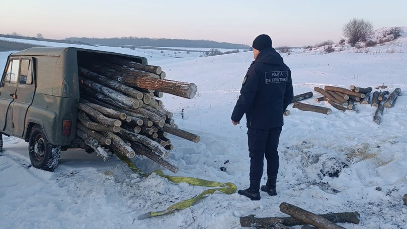 Caz de tăiere ilegală de arbori, identificat în zona de frontieră.