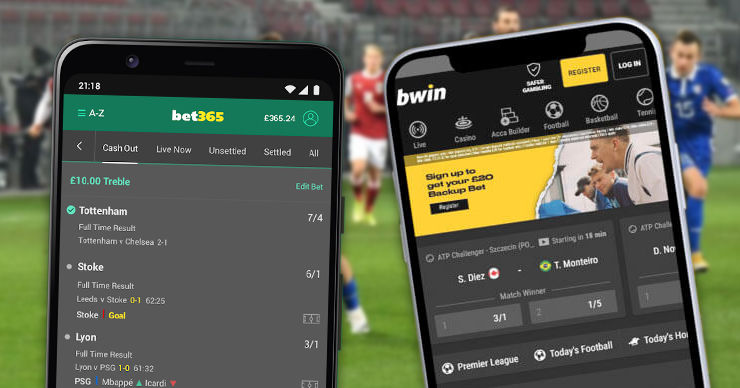 Известные платформы спортивных ставок Bet365 и Bwin остаются под запретом в Молдове. Коллаж: Point.md