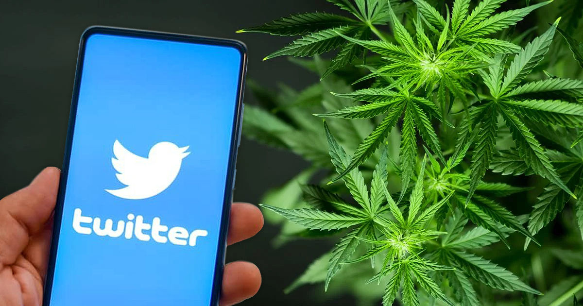 В Twitter разрешили размещать рекламу каннабиса.