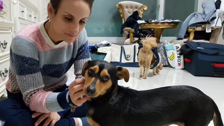 Câinele adoptat din Coreea i-a purtat noroc unei patinatoare vegane. 