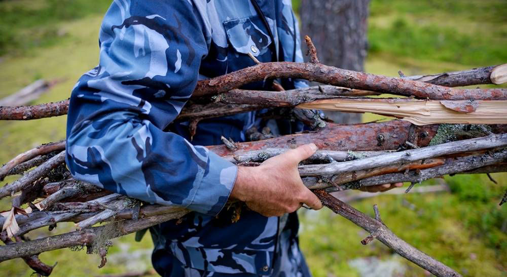 В Польше призвали собирать в лесах ветки из-за подорожания древесины и угля.