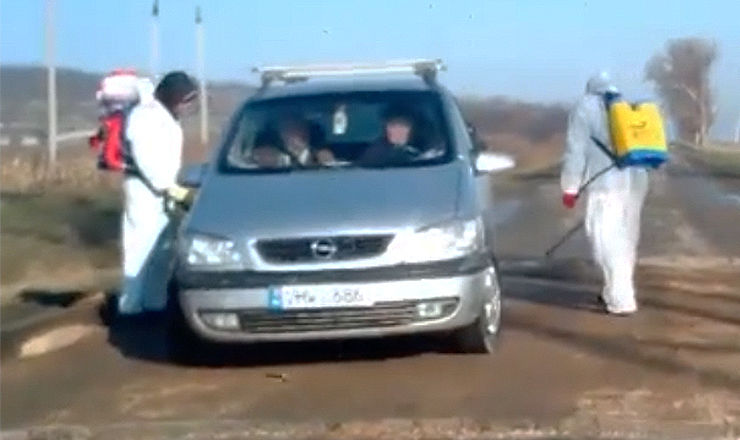 Focar de gripă porcină la Cărpineni.