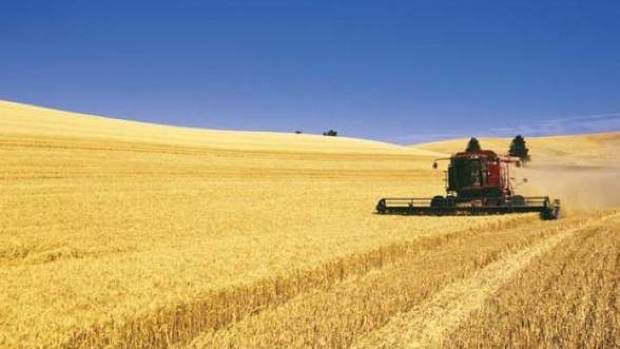 Fermierii care așteaptă încă de anul trecut să intre în posesia subvențiilor pentru agricultură au ajuns la limita răbdării.