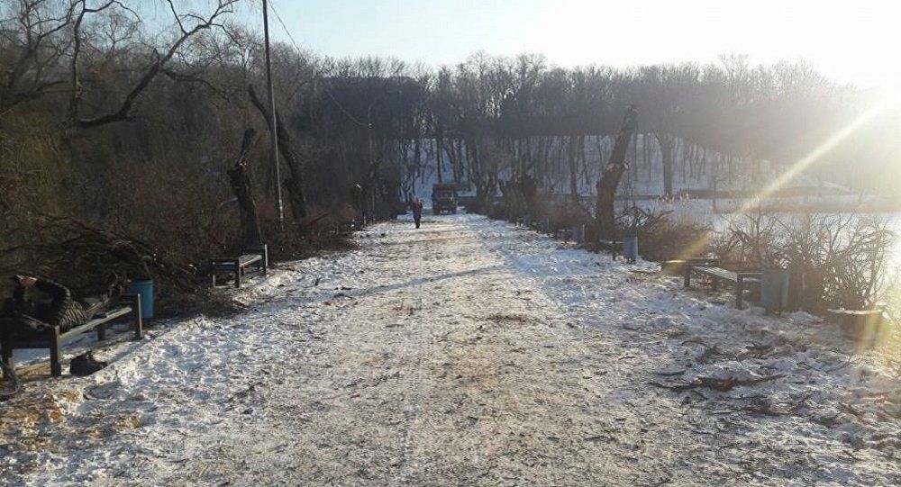 Pe parcursul ultimelor luni, serviciile municipale au executat lucrări de curăţare şi defrişare a arborilor care se află într-o stare fitosanitară nesatisfăcătoare