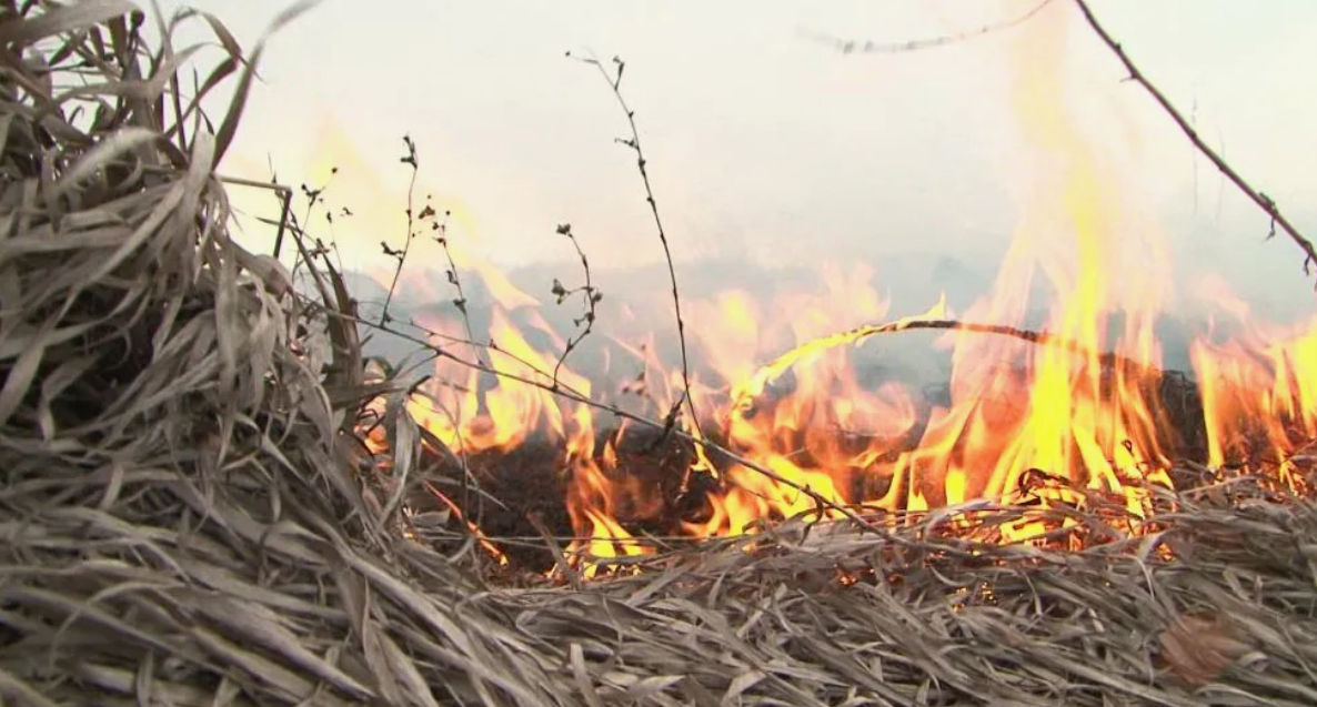 Cod Galben de pericol de incendii în Moldova. Perioada vizată.