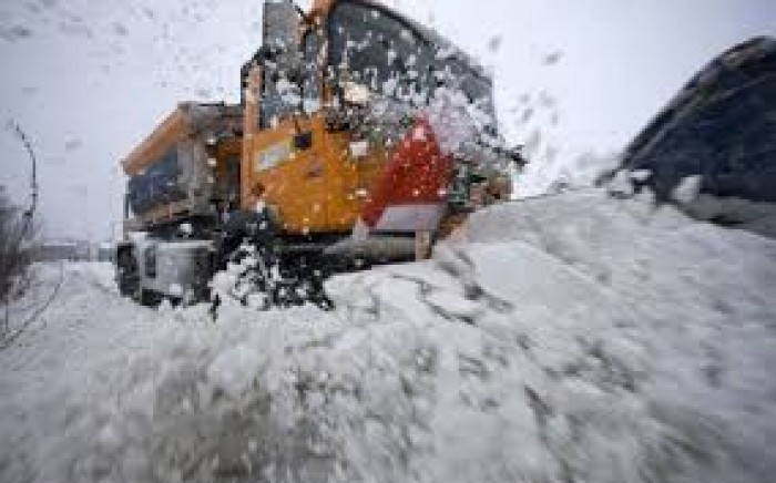 În context, Primăria Chişinău solicită conducătorilor auto să fie prudenţi la drum şi să parcheze regulamentar autoturismele, evitând, totodată, parcajul sub copaci.