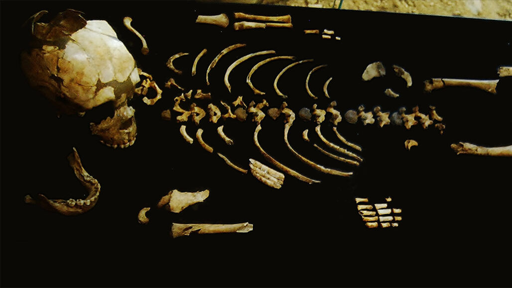 Ученые рассказали о внешности неандертальцев. Фото: sciencenews.org.