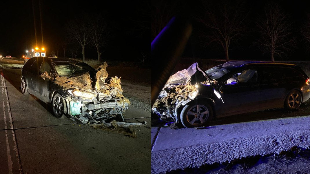 В Сынжерейском районе водитель за рулем авто врезался в повозку.