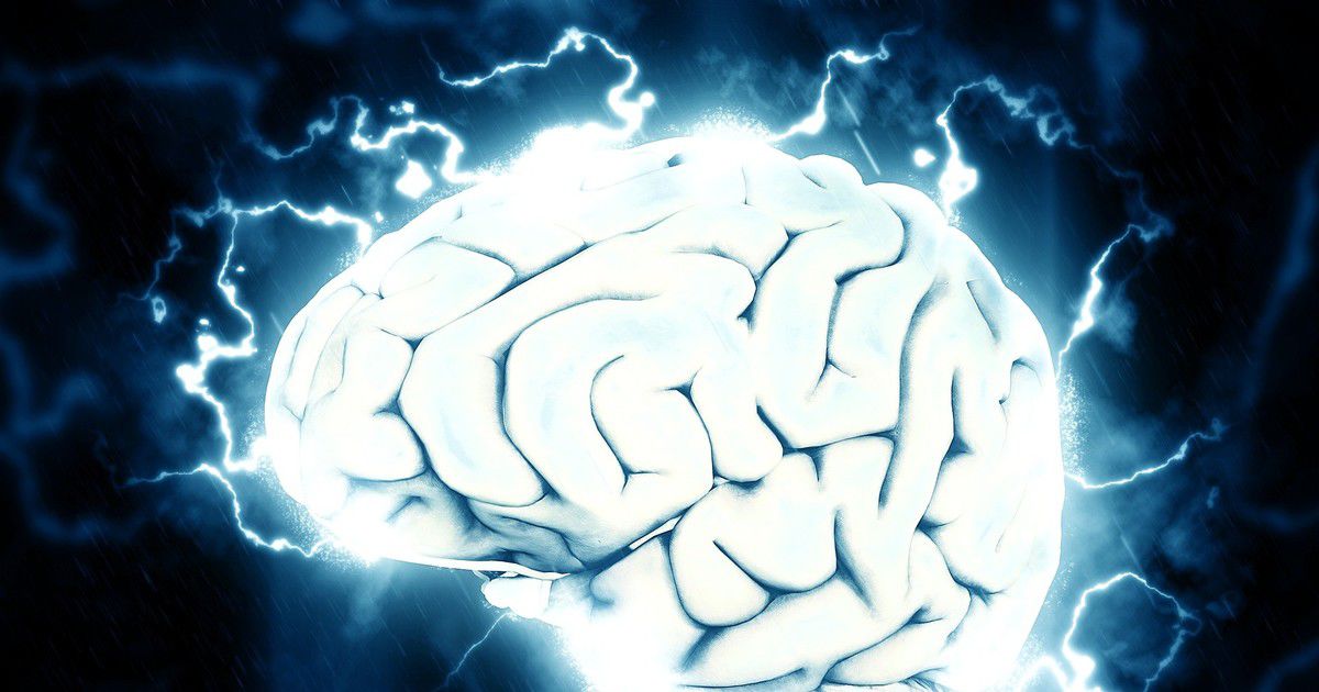 Учёные доказали, что такая нервная система существует и работает независимо от головного или спинного мозга.