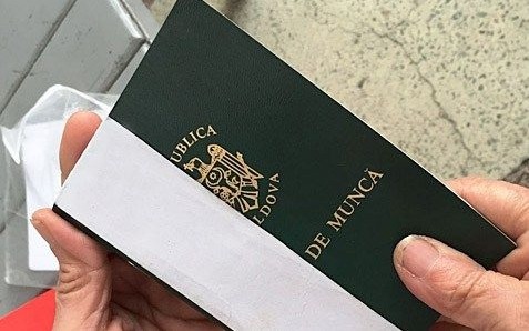 Власти намерены в этом году внедрить электронную систему учета трудовой деятельности. Фото: timpul.md