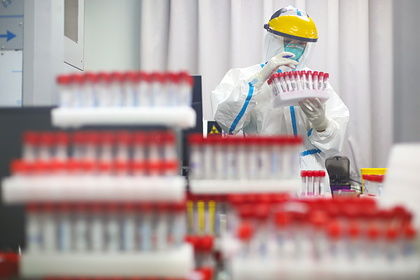 Биолог оценила версию об искусственном происхождении коронавируса.