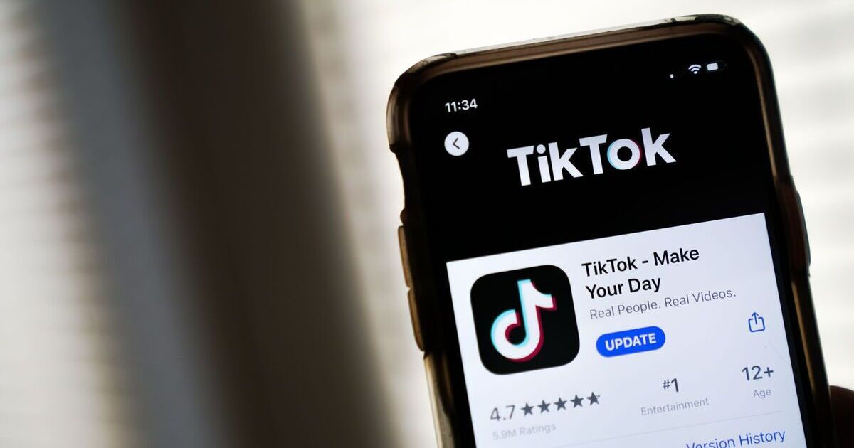 TikTok a introdus stickere și chat-uri de grup.