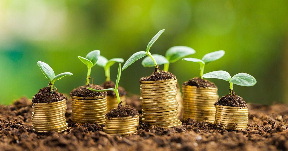 AIPA lansează campania de informare despre oportunitățile de subvenționare din 2025.