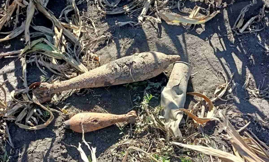 Житель Каушанского района нашел снаряды в огороде.