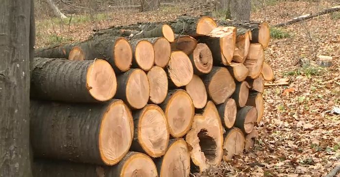 Жители Молдовы начали скупать уголь и дрова из-за подорожания газа.