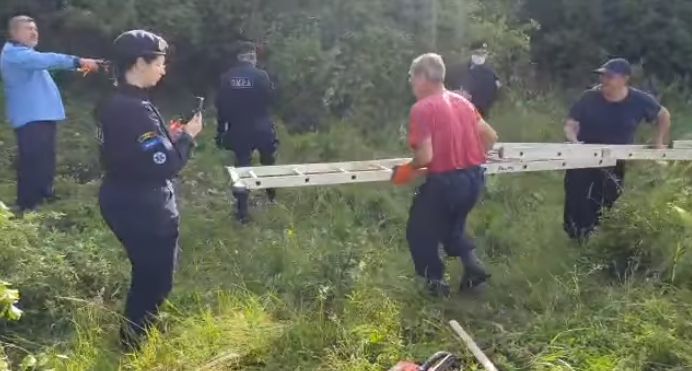 В Румынии жандармы провели операцию по спасению медвежонка.