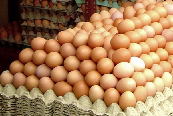 Haios: Ce s-a întâmplat când a comandat 1.500 de ouă cu Google Translate
