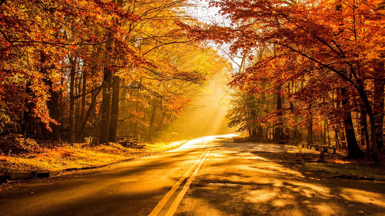 Toamna continuă să fie blândă: Ce temperaturi se așteaptă astăzi. Foto: wallpapersite.com