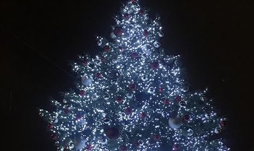 În straie de sărbătoare. Pomul de Crăciun şi-a aprins luminițele. Foto: Captură video