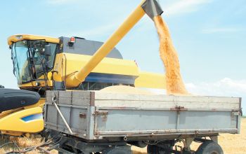 Datele Ministerului Agriculturii arată că recolta globală de cereale din anul curent a fost de 560 mii tone