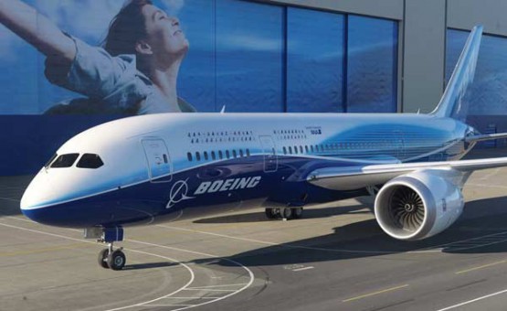 Practica obişnuită de reglementare aviatică europeană este de a urma recomandările autorităţilor din ţara în care au fost fabricate aeronavele cu probleme - în cazul dat, Statele Unite ale Americii.