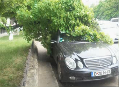 O creangă ruptă de vânt a căzut peste un automobil marca "Mercedes", parcat lângă o peluză de pe bulevardul Moscovei. 