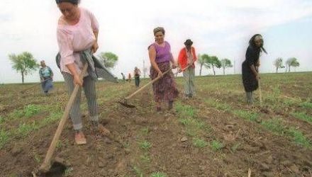 Dar pământul acesta aparţinea primăriei, a fost vândut cu respectarea legislaţiei”, ne-a spus primarul Alexandru Leşan.