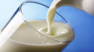 Отечественным молокозаводам не хватает сырья.  Фото: foodclean.ru