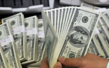 Leul moldovenesc s-a apreciat în raport cu dolarul american şi depreciat în raport cu moneda unică europeană
