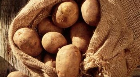 Продавцы говорят, что этот молодой картофель - турецкий. 