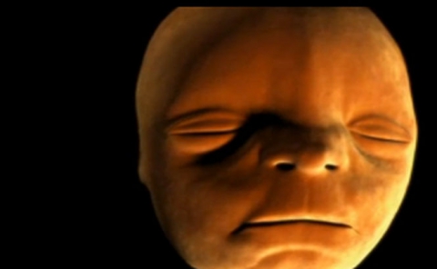 În videoclipul de mai jos, specialiştii în tehnică 3D s-au străduit să arate întregul proces care se desfăşoară în burtica viitoarei mămici.