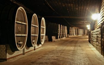  Livărirle de vinuri au crescut cu 8%, iar divinuri cu 87%, în urma majorării exporturilor în Federaţia Rusă, Ucraina şi SUA.