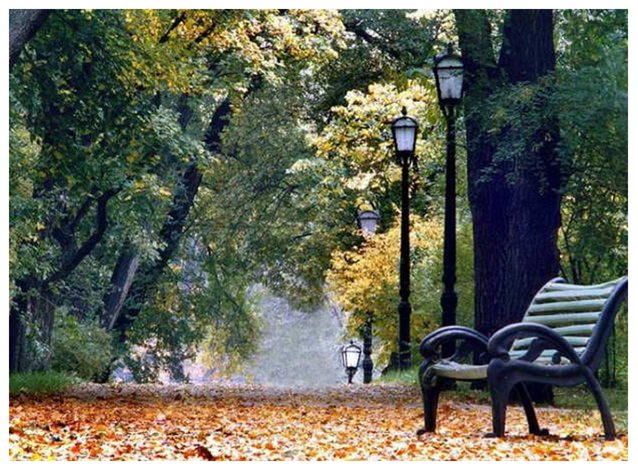 În parc va avea loc o festivitate, unde sînt invitați toți tinerii doritori să fie prezenți.