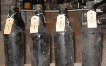 Serviciul fitosanitar rus, Rospotrebnadzor, analizează încă liberalizarea exporturilor producţiei moldoveneşti pe piaţa rusească