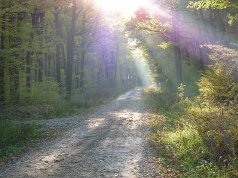  De asemenea, în rapoarte se mai arată că motivele, care duc la degradarea biodiversităţii sunt legate de sărăcia