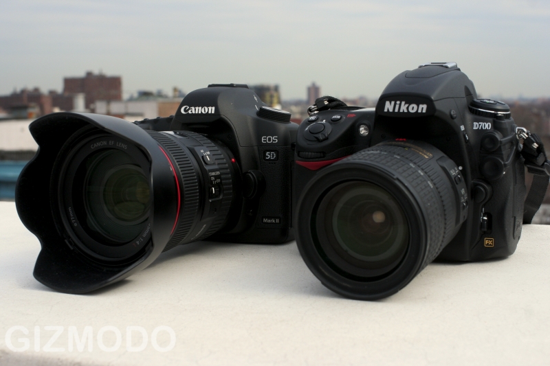 Canon и Nikon - предмет холивара среди фотографов. Фото:bit-digest.ru