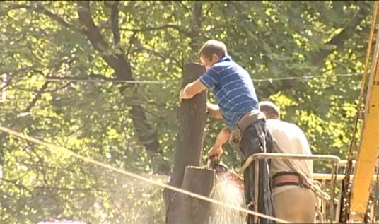 На улице Алеко Руссо было спилено несколько деревьев.