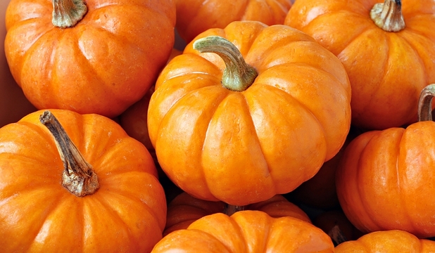 Luna octombrie este caracterizată prin apariţia mai multor fructe şi legume