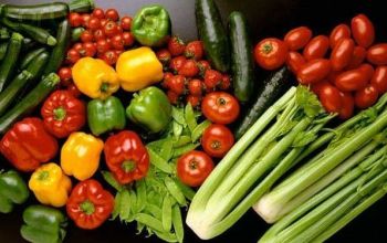 Rosselihoznadzor ar putea interzice importul în Federaţia Rusă a producţiei vegetale din Republica Moldova şi Ucraina
