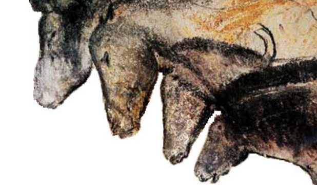 Marc Azéma a studiat amănunţit un număr de 53 imagini de animale din 21 peşteri din Franţa cu picturi rupestre.