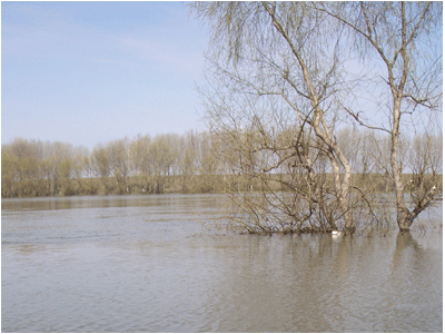 Pe unele sectoare de sud ale Nistrului se prevede ieşirea apei în luncă şi inundarea parţială a terenurilor agricole din raionul Ştefan – Vodă.