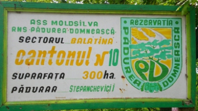 Охота, организованная 23 декабря 2012 года в заповеднике Пэдуря Домняскэ, все же была законной. Фото: vacante.md